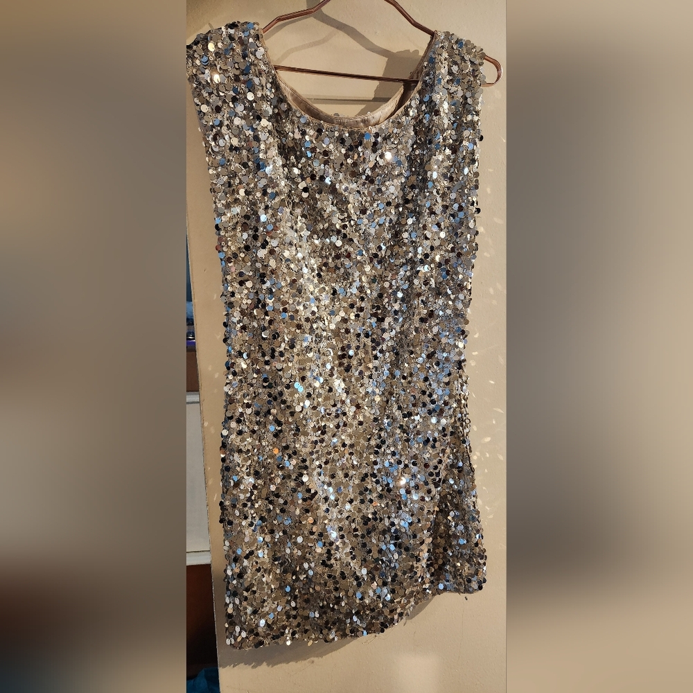 Alice + Olivia Size 10 Marina Silver Sequin Dolman Mini Dress - Picture 6 of 6